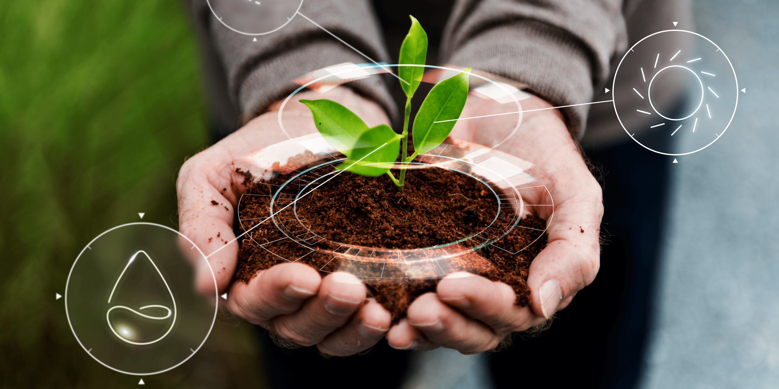 What we offer Image 2