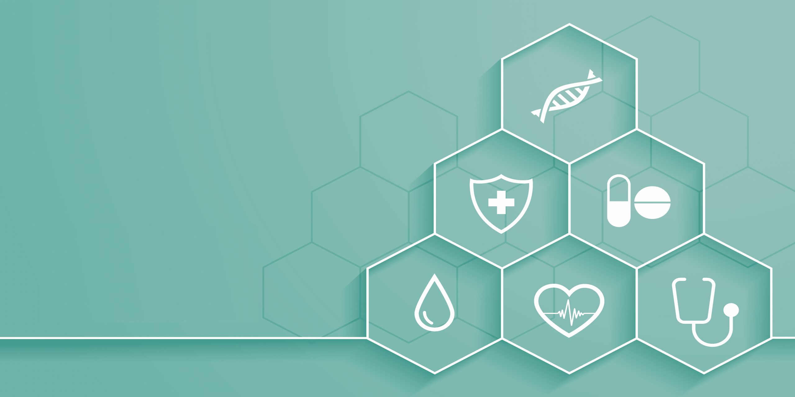 What we offer Image 1